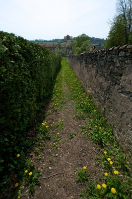 La nature reprends le chemin_4568366452_l.jpg